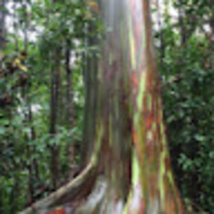 Meet your Posher, Gloria